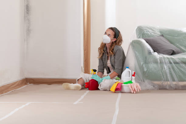Reliable Mold Inspection contractor in Rapid City, MI by WQB Mold Removal